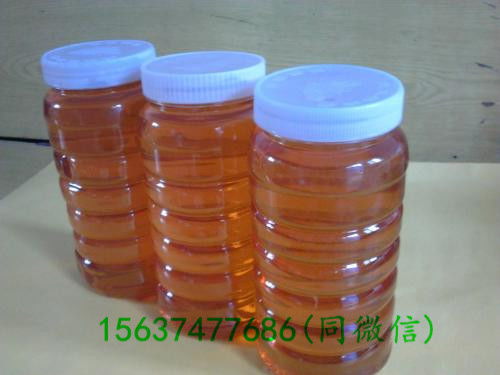 长葛蜂蜜批发价格分析与谷物销售市场动态