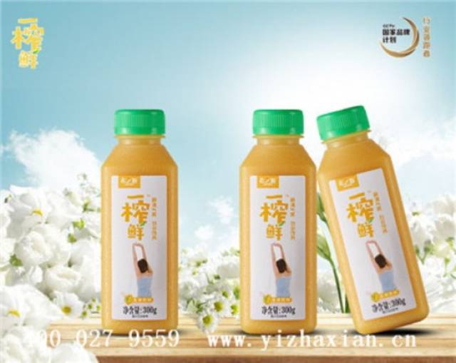 绿色健康消费理念推动谷物饮料成为时尚新宠