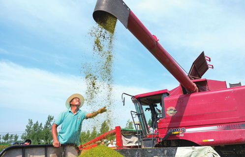 构筑生态宜居家园，推动谷物销售新篇章