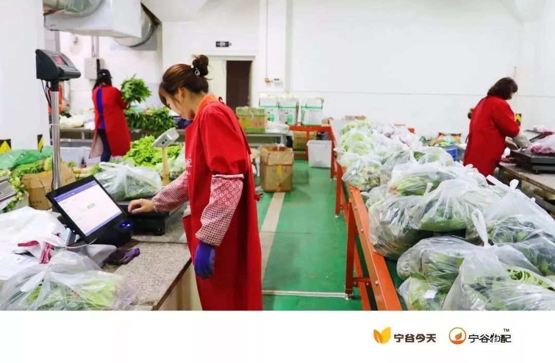 从零到亿 这家谷物企业如何在三年内创造商业奇迹